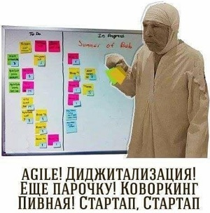 agile_sharikov