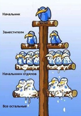 corporate_hierarchy