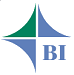 BI аналитика